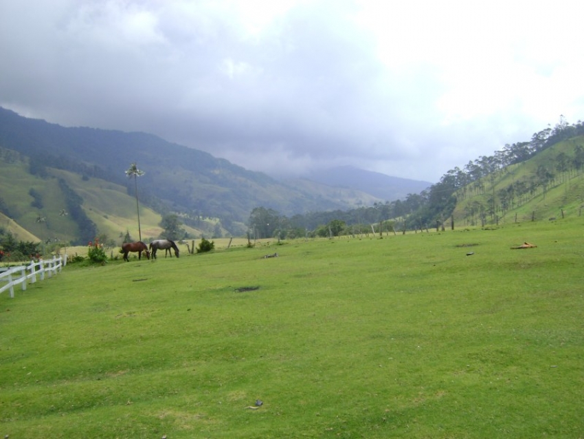 Confinement Et Changement – Etape 1